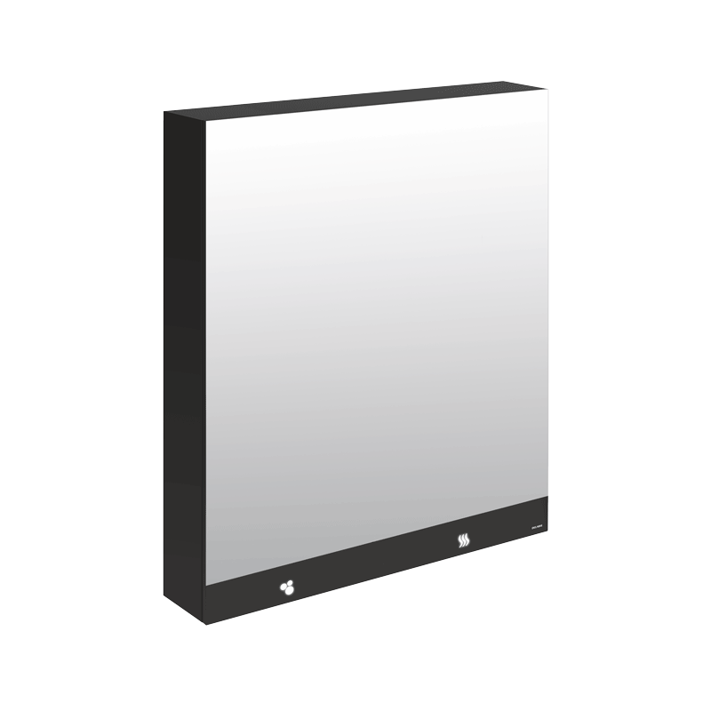 DELABIE 510208 3-in-1 mirror cabinet 800 mm soap, hand dryer