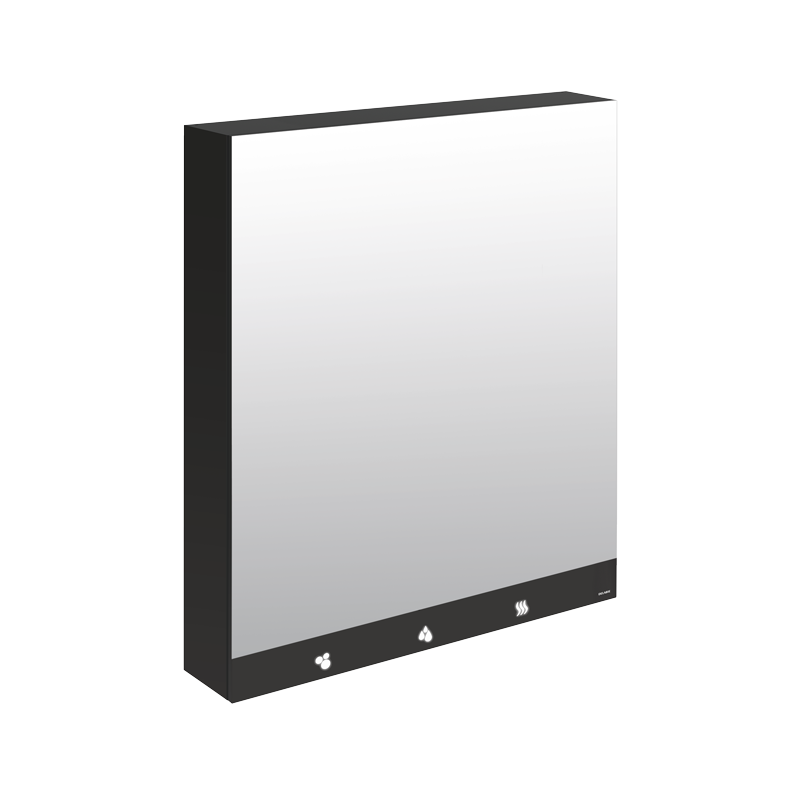 DELABIE 510206 4-in-1 mirror cabinet 800 mm faucet, soap, towel dispenser