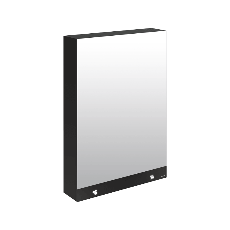 DELABIE 510207 3-in-1 mirror cabinet 600 mm soap, hand dryer