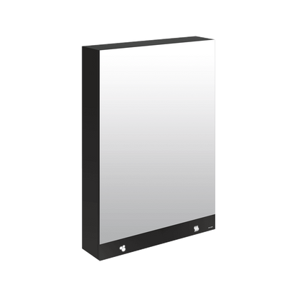 DELABIE 510207 3-in-1 mirror cabinet 600 mm soap, hand dryer