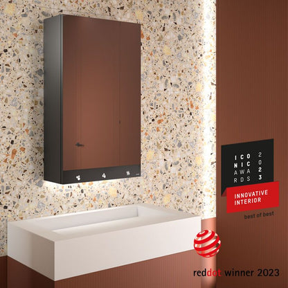 DELABIE 510203 4-in-1 Mirrored Cabinet 600 mm Tap, Soap Dispenser, Hand Dryer