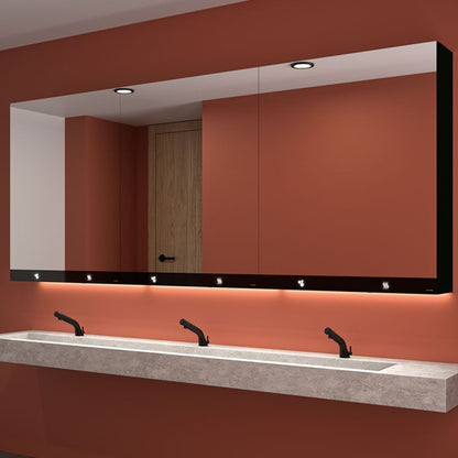 DELABIE 510207 3-in-1 mirror cabinet 600 mm soap, hand dryer