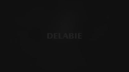 DELABIE 510203 4-in-1 Mirrored Cabinet 600 mm Tap, Soap Dispenser, Hand Dryer